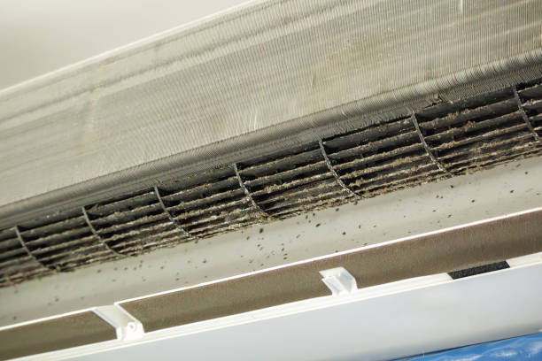 Best Emergency Air Duct Cleaning  in Rockledge, FL